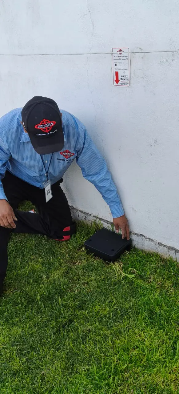 Técnico de FUMIESCAL colocando una estación de control junto a un muro