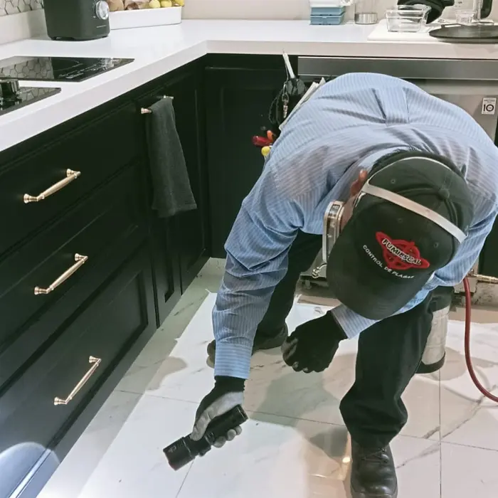 Técnico de FUMIESCAL revisando puntos de actividad en una cocina